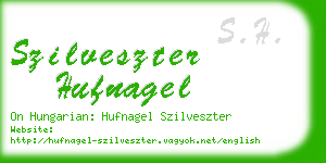 szilveszter hufnagel business card